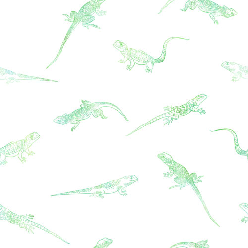 Ombre Lizards