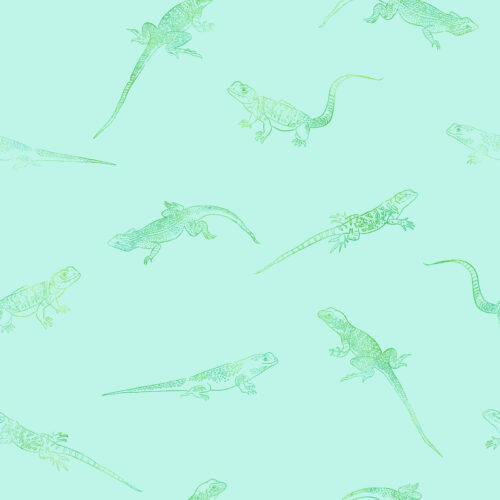 Ombre Lizards on Aqua