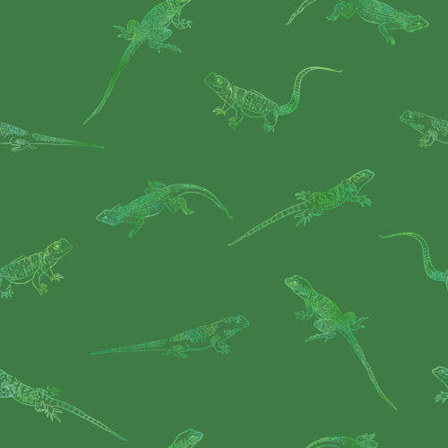 Ombre Lizards on Green
