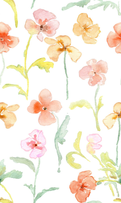 Among the Wildflowers - Fieldflowers