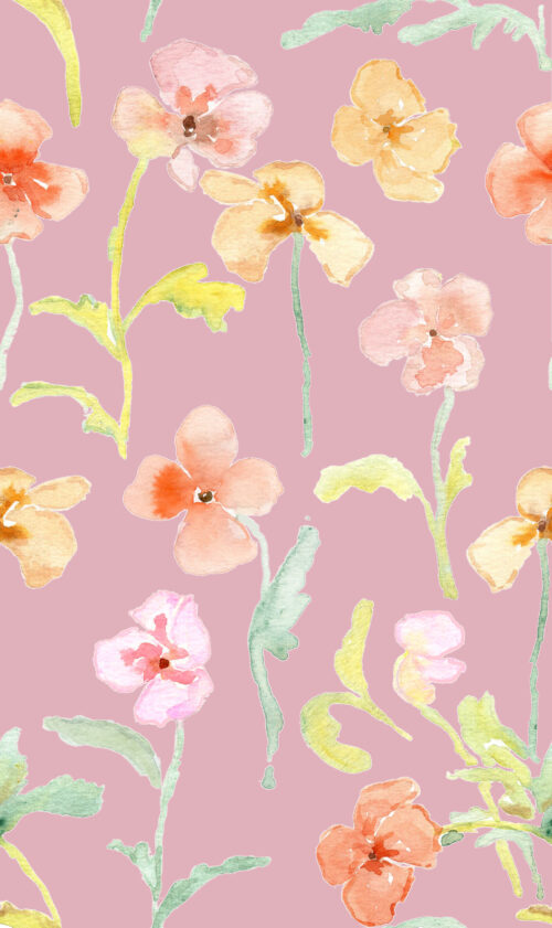 Among the Wildflowers - Fieldflowers1 Hazy