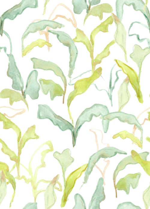 Among the Wildflowers - Fieldsofgreen