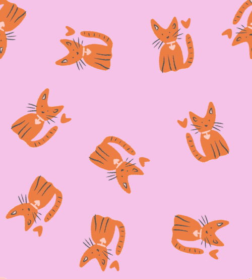 Love Letters - Kitten1