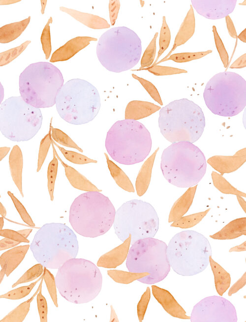 Paradise - Citrusvinemulwhitelt