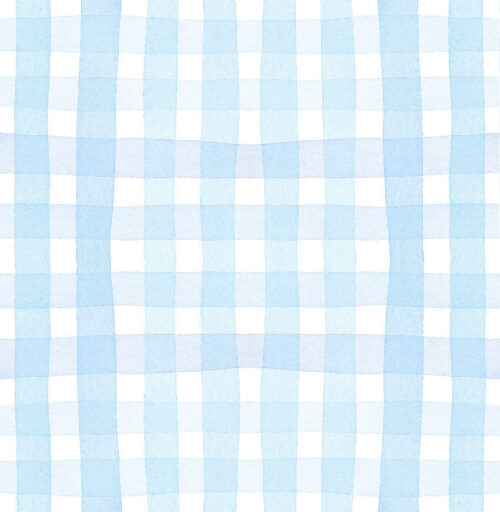 Park Picnic - Ginghampaleblue