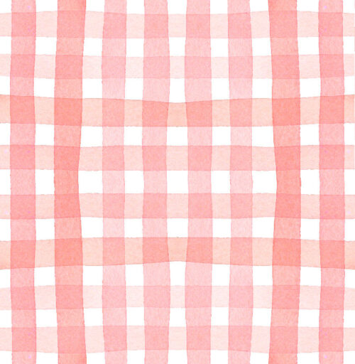 Park Picnic - Ginghampeach