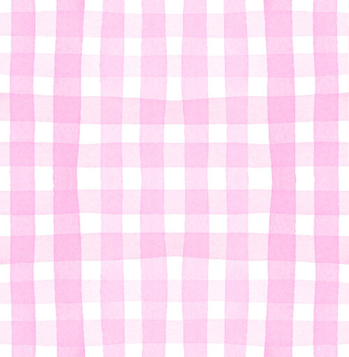 Park Picnic - Ginghampink