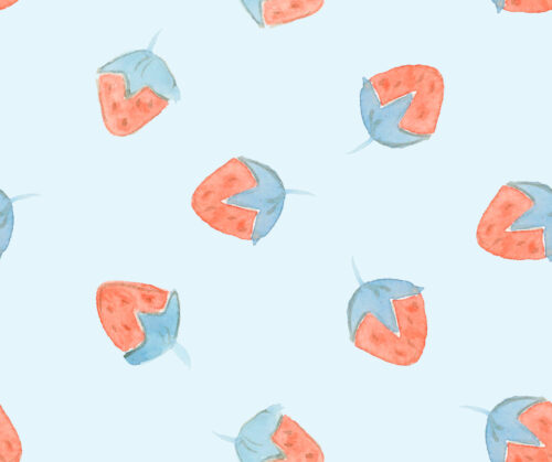 Park Picnic - Strawberriesfillblue