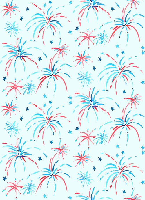 Patriotic - Fireworks0032