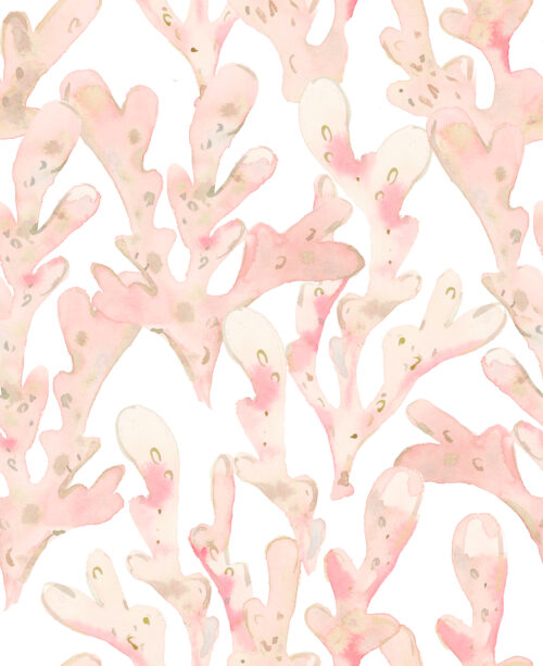 She Sells Seashells - Coral In Peach