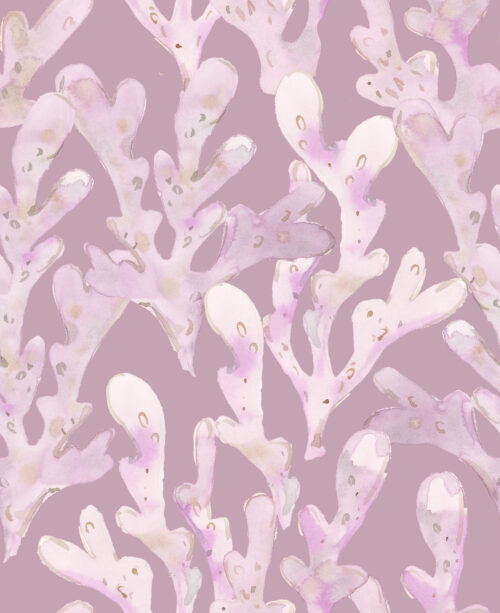 She Sells Seashells - Coral On Purple