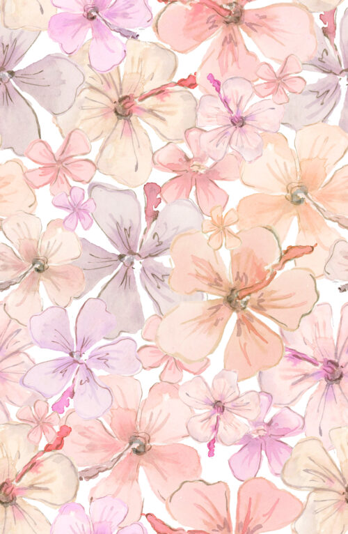 She Sells Seashells - Hibiscus