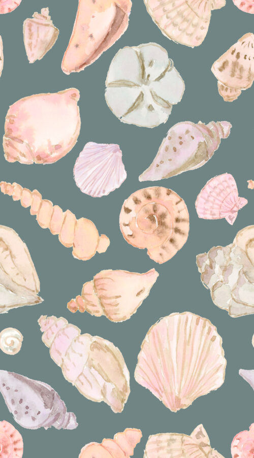 She Sells Seashells - Seashells In Deepsea