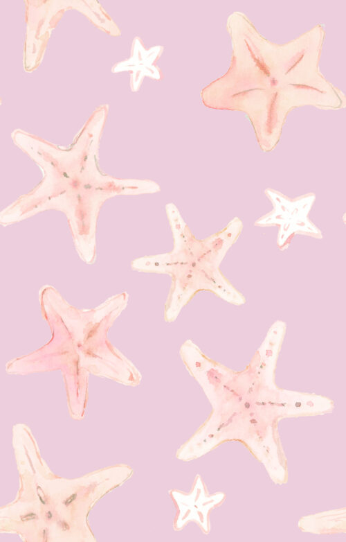 She Sells Seashells - Starfish In Pale Purple