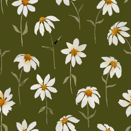 Watercolor Daisies on Olive