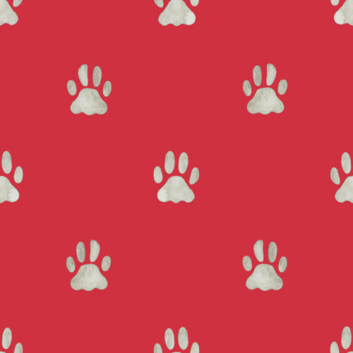 Watercolor Cat Paw Prints Red