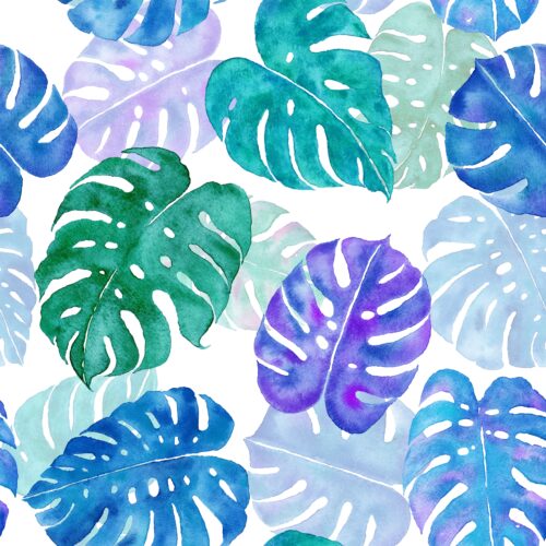 Cool Monstera Madness