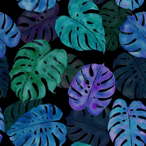 Cool Monstera Madness Black