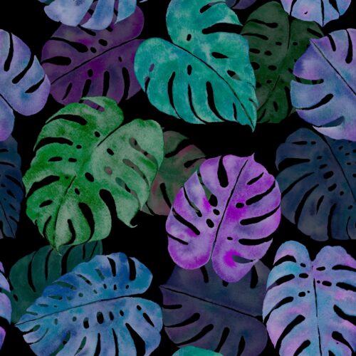 Monstera Madness Black