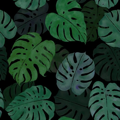 Moody Monstera Madness Black
