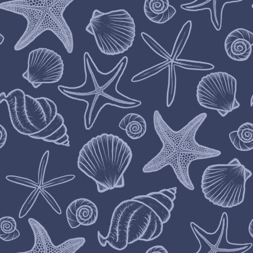 Seashells and Starfish Navy