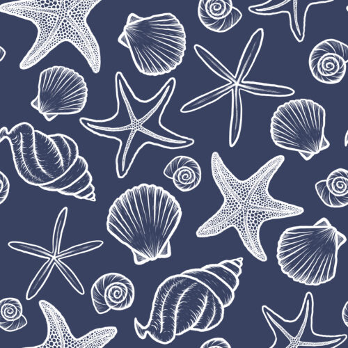 Seashells and Starfish Navy and White