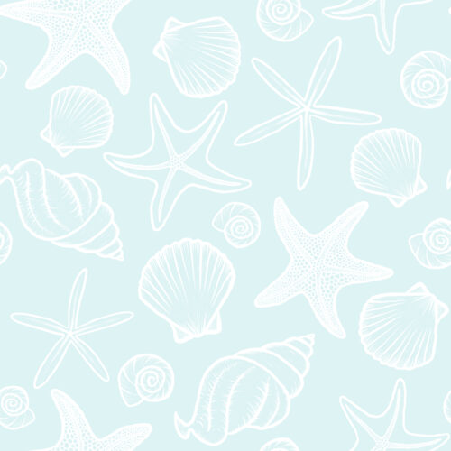 Seashells and Starfish Seafoam