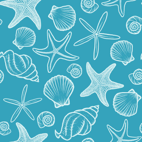 Seashells and Starfish Teal