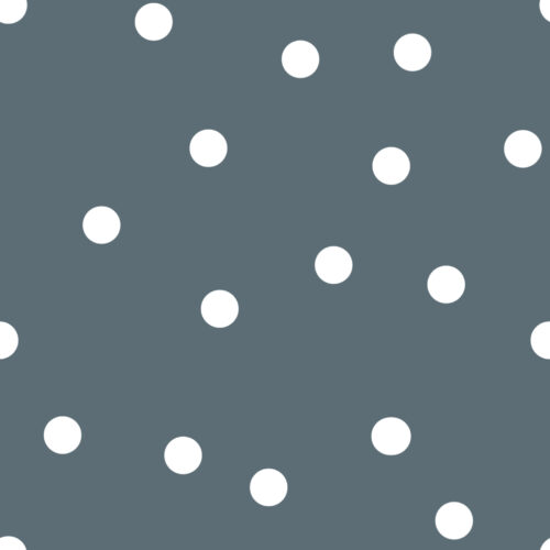 Slate Polka Dot