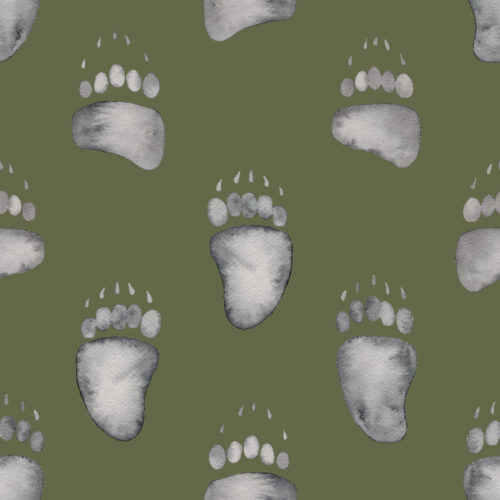 Watercolor Bear Tracks on Army Green