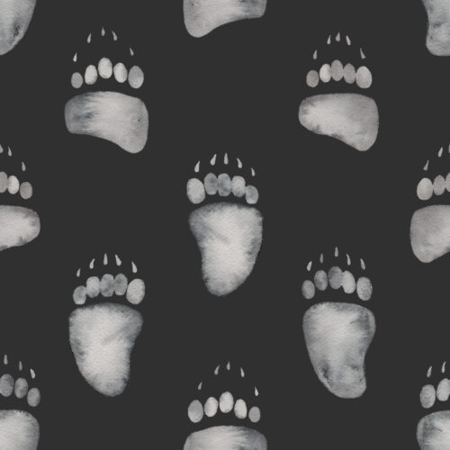 Watercolor Bear Tracks on Charcoal