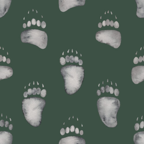 Watercolor Bear Tracks on Evergreen