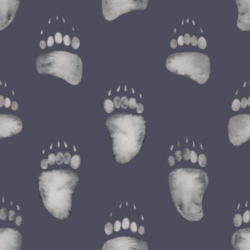 Watercolor Bear Tracks on Navy