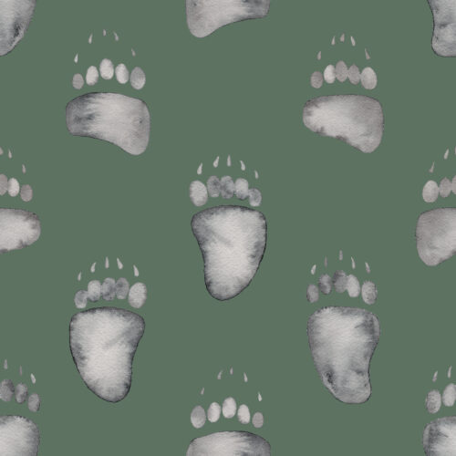 Watercolor Bear Tracks on Pine