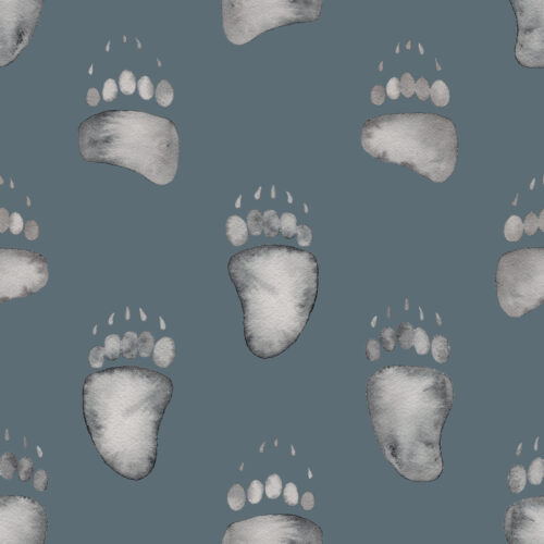 Watercolor Bear Tracks on Slate
