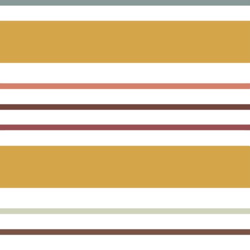 Medium Muted Rainbow Stripe