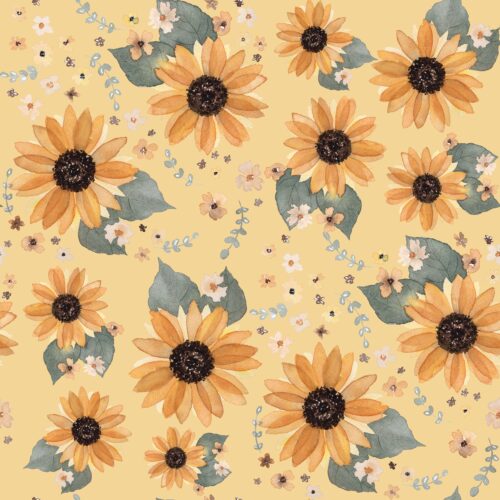 Sunflowers Creme Brulee