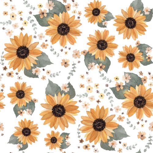 Sunflowers White