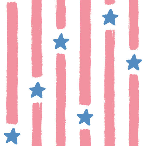 Stars & Stripes Flamingo Pink and Blue