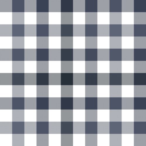 Navy Gingham