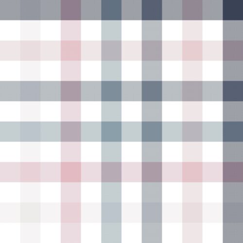 Pink and Navy Gingham