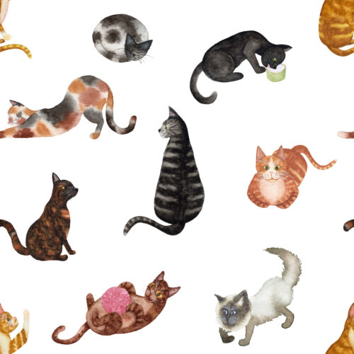 Watercolor Cats