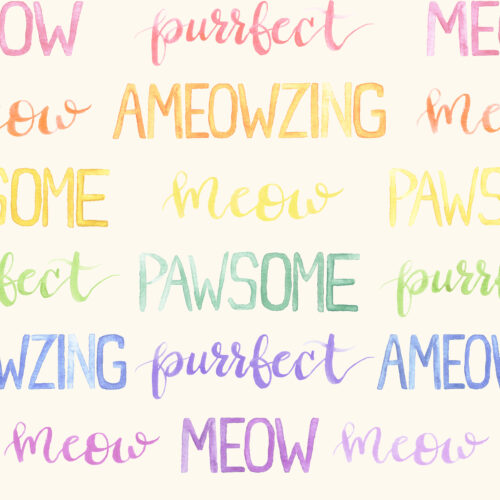 Whiskers and Blooms Script on Cream