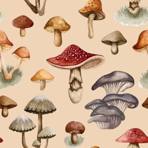 Fungi Fantasy Barely Beige