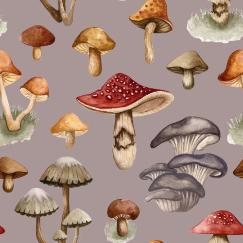 Fungi Fantasy Lavender Fog