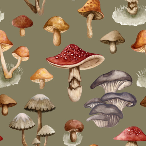 Fungi Fantasy Mossy Olive