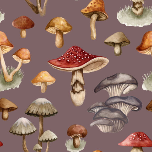 Fungi Fantasy Smokey Amethyst