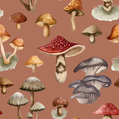 Fungi Fantasy Terra Cotta Clay