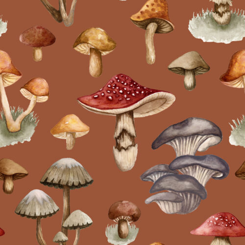 Fungi Fantasy Toasted Chestnut