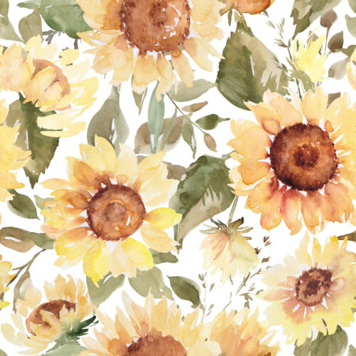 WatercolorSunfloweronWhiteRaspberryPatternCo